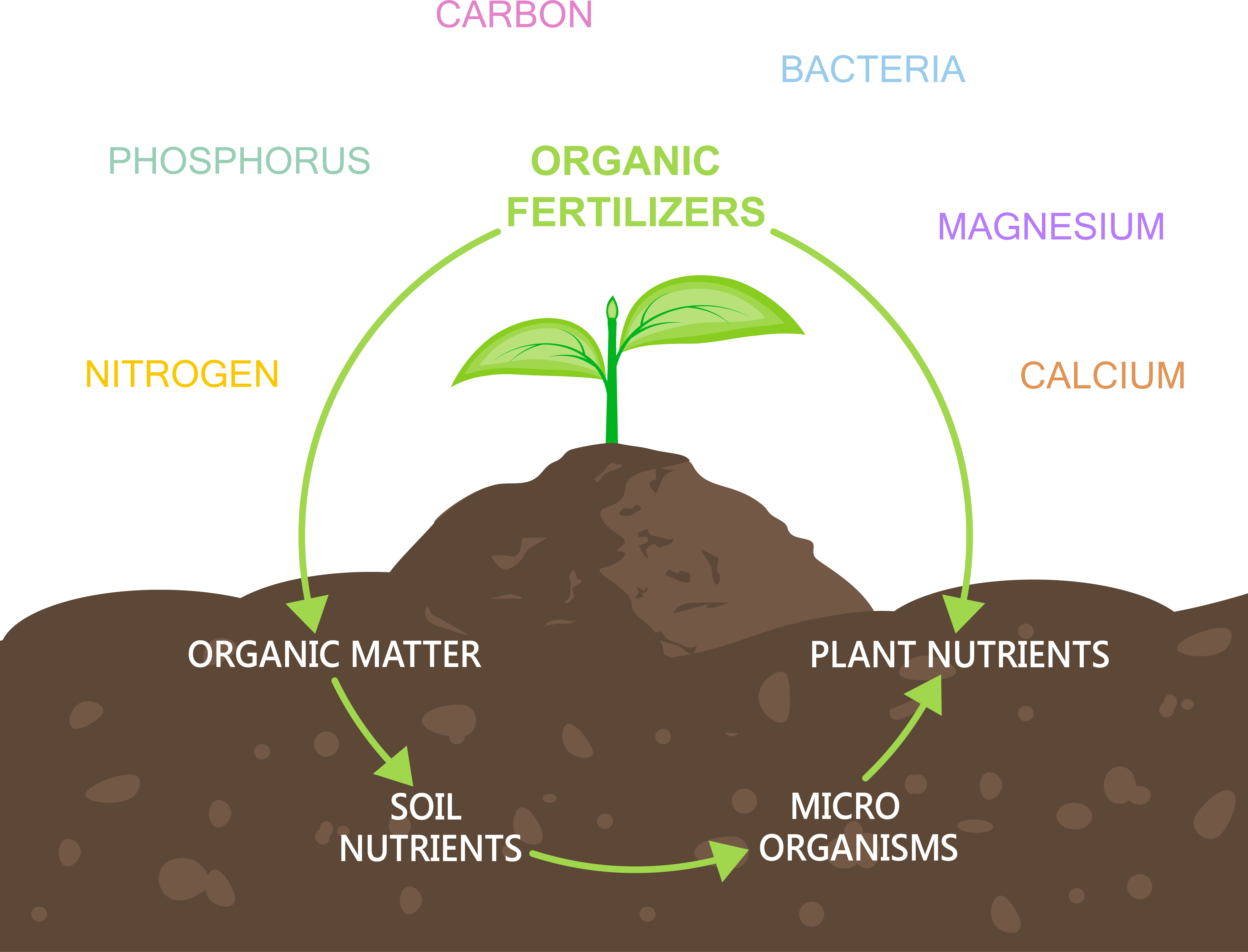 Ways To Restore Your Soil