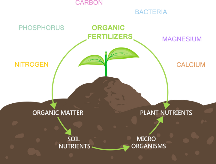 Ways To Restore Your Soil