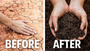 Our Mission To Rebuild Our Earths Soil One Farm At A Time